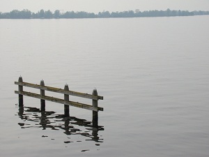 Photography - High Amsterdam