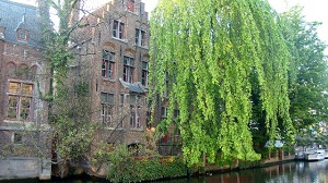 Photography - Dreaming Brugge