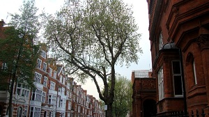 Photography - London Calling